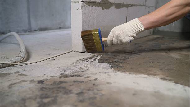 SJ Waterproofing Pros Waterproofing coverage map for Riverton, IL and surrounding area